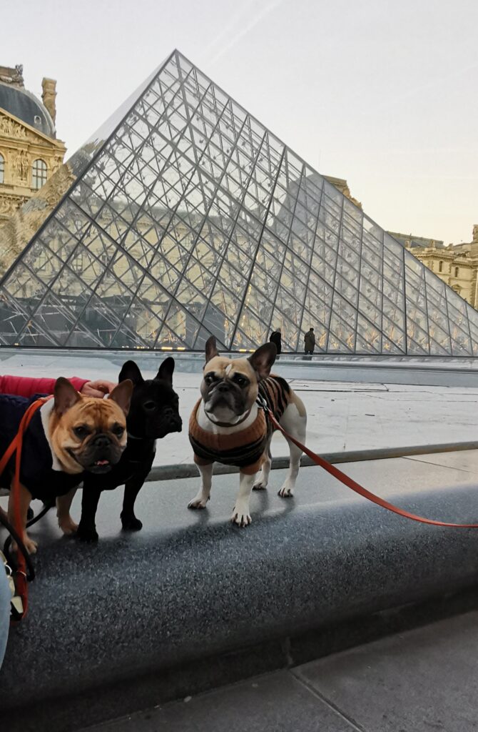 Avec le copain Marius à la Pyramide du Louvre