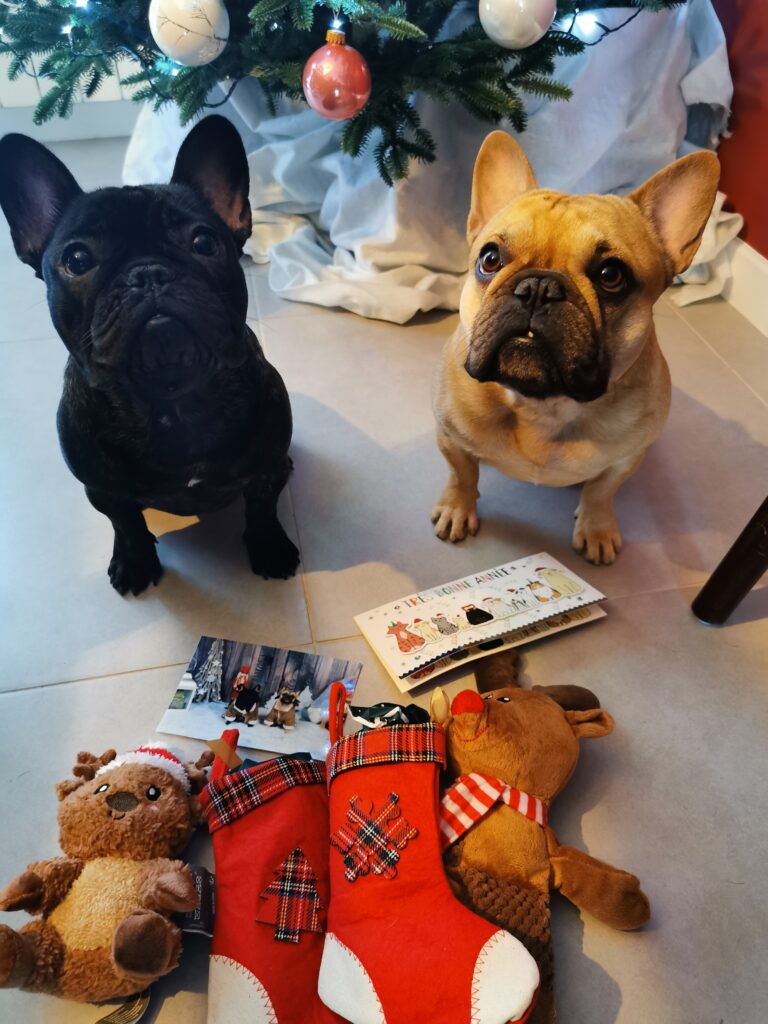 Plein de cadeaux offerts par les copains à Noël