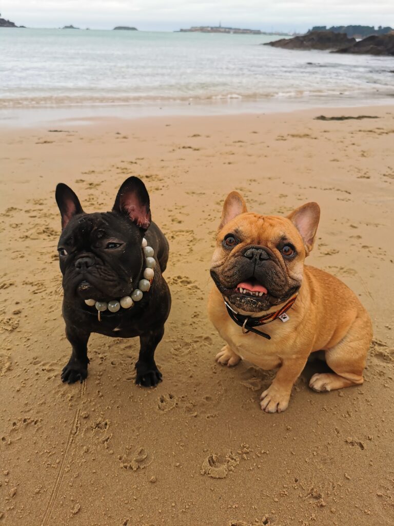 A la plage en Bretagne