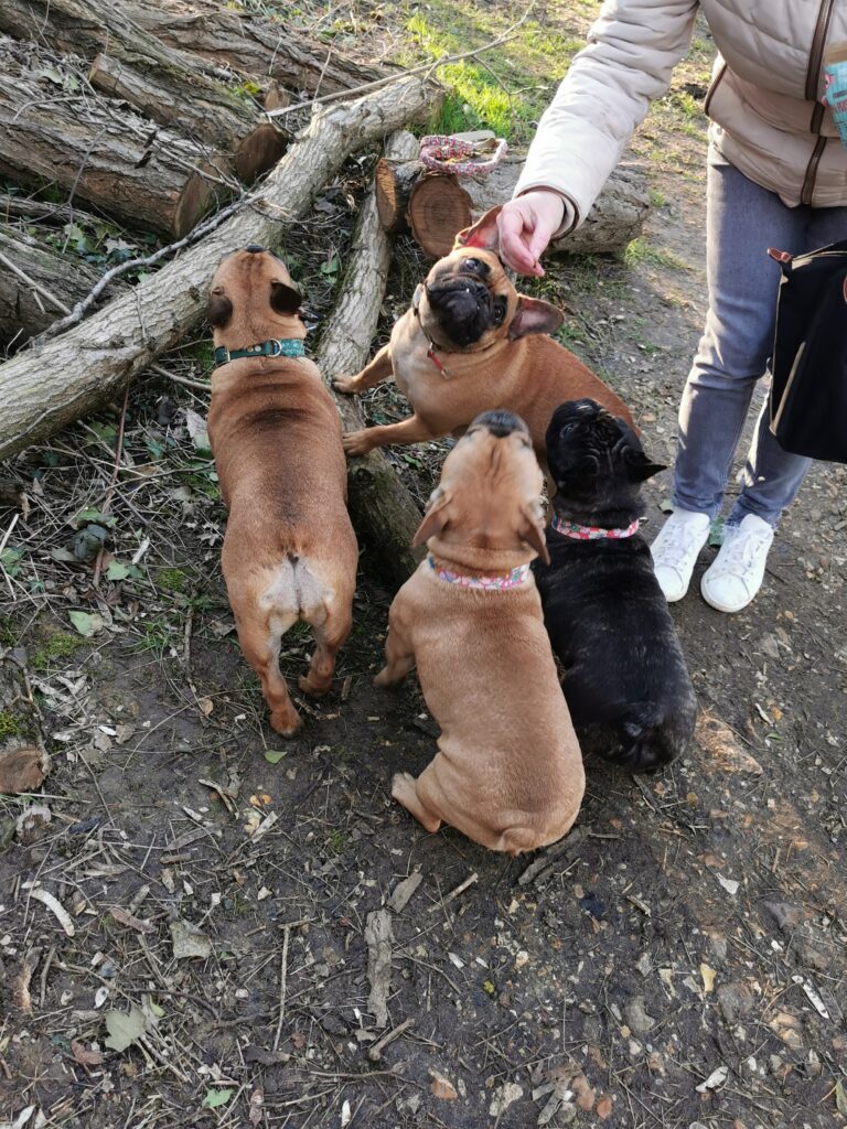 Rencontre avec les copines Only et Romy