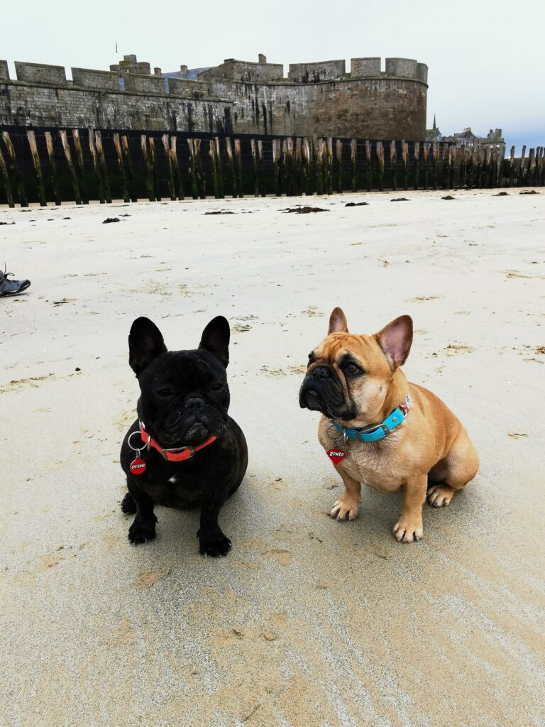 Vacances à Saint-Malo